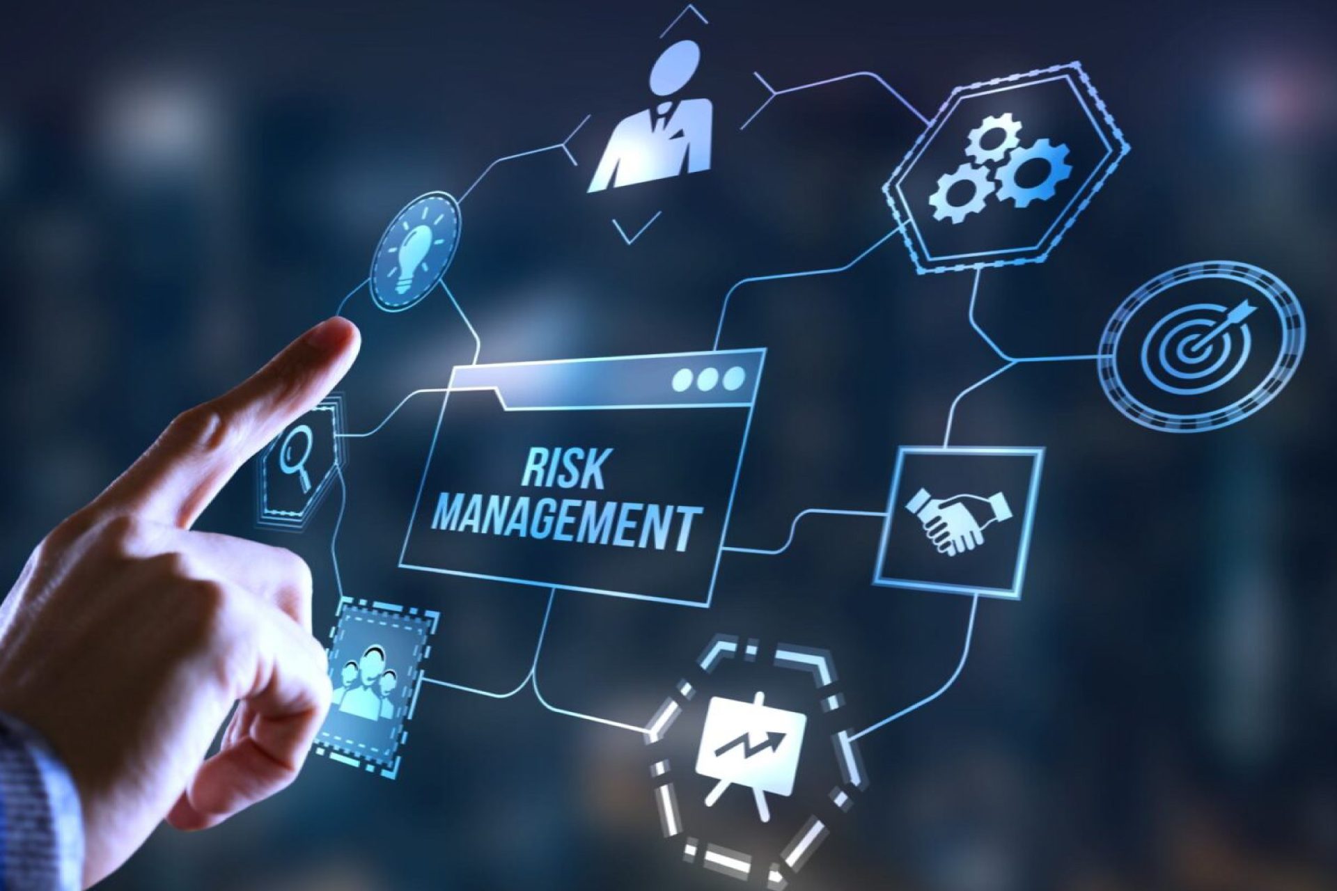 DPN30043 RISK MANAGEMENT